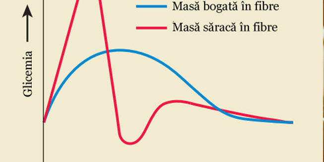 fibre-1