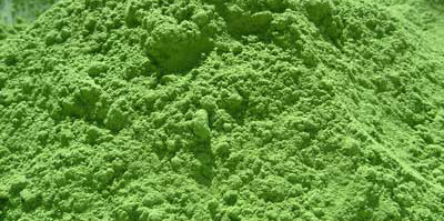 spirulina