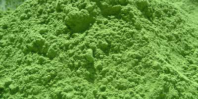 spirulina