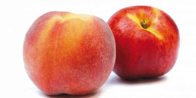 peche_nectarine